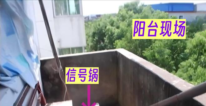 件：妻子取天线万谋害妻子K8凯发2017年江西案(图4)
