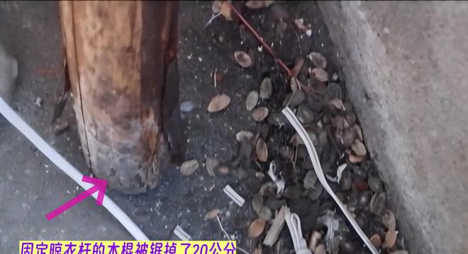 件：妻子取天线万谋害妻子K8凯发2017年江西案(图16)