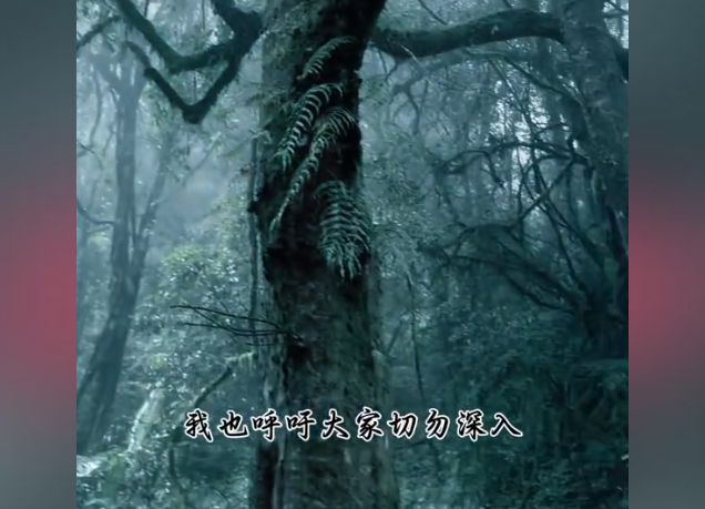 后续！被调查后发文道歉账号已搜不到马竞合作伙伴苗疆大祭司独闯哀牢山(图13)