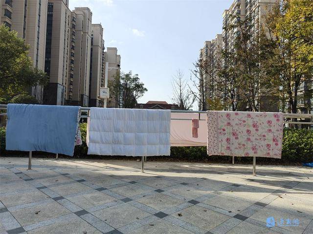 小区丨共享晾衣架晒出“幸福感”凯发k8国际娱乐首选百名记者进(图1)